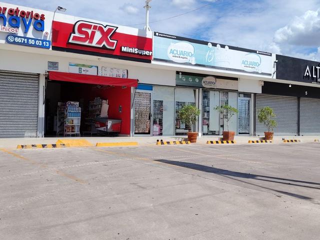 Foto de la galeria de imagenes