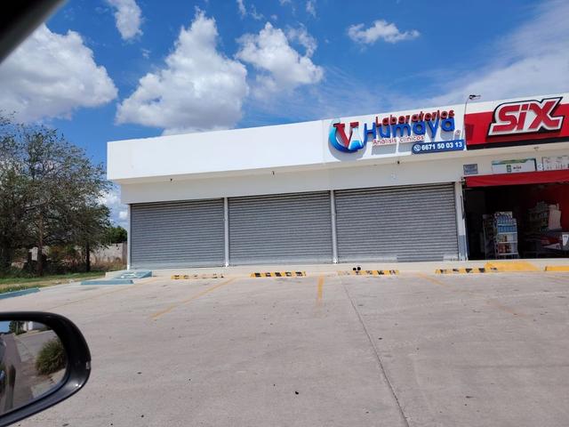 Foto de la galeria de imagenes